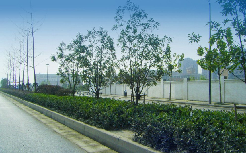 道路自清潔涂料的發(fā)展趨勢